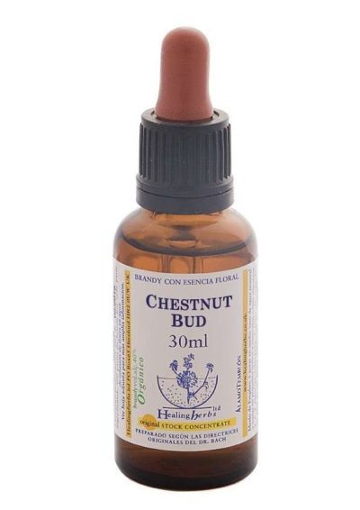 Healing Herbs Chestnut Bud 30ml